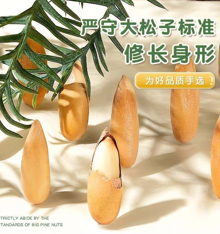 2024 New Brazilian Pine Nuts Official Flagship Store Hand-Peeled Special Large Capsules Snacks Afghan Dried Fruit Nuts