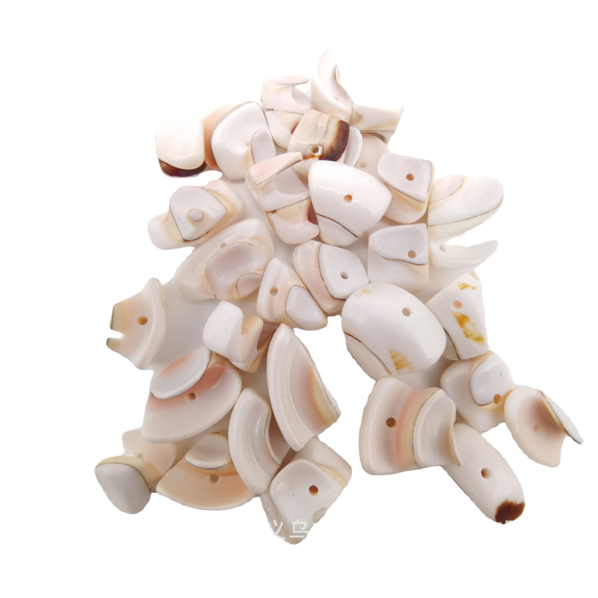 Natural shell conch perforated white corn snail DIY handmade jewelry necklace bracelet jewelry accessories material manufacturers