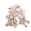 Natural shell conch perforated white corn snail DIY handmade jewelry necklace bracelet jewelry accessories material manufacturers