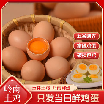 2025 New Crop Cordyceps Eggs, Free-Range Chicken Eggs, 30 Fresh Eggs for Catering and Fresh Produce