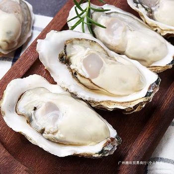 Sf Express Free Shipping Authentic Rushan Oysters, Fresh Shelled Oysters, Fresh Sea Oysters, Seafood and Shellfish, Whole Box Wholesale