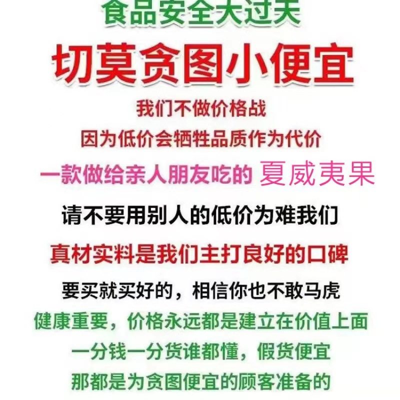 New Macadamia Nut Cream Flavor Gross Weight 250g Summer Dried Fruit New Year Snacks for Pregnant Women Wholesale Casual Snacks