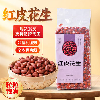 New Arrival Red Peanuts Wholesale Vacuum Packaging Red Peanut Kernels Shelled Peanuts Red Skin Red Peanut Kernels