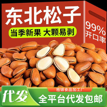 Dropshipping Wholesale Original Pine Nuts Large Granules Northeast Specialty Red Pine Nut Snacks