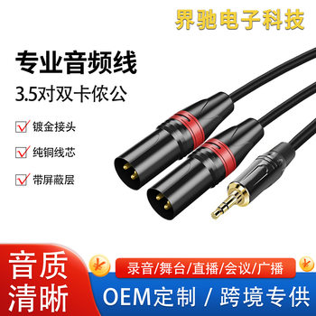 3.5 to double cannon male audio cable microphone amplifier speaker cannon XLR mixer microphone cable xlr