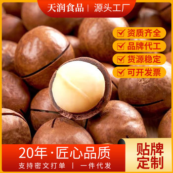 Macadamia Nuts, Minimum Order Quantity of 5kg Pieces, Minimum Order Quantity of 2.5kg Pieces Per Box, 2.5kg Macadamia Nuts with Creamy Flavor, Bulk Macadamia Nuts