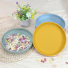 temu cross-border labelable food grade silicone plate striped edge high quality child feeding sucker plate