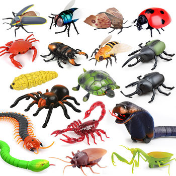 Cross-Border Simulated Insect Model Fly Insect Butterfly Hornet Unicorn Tiger Head Bee Ant Kidsren's Science and Education Toys