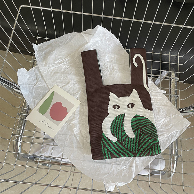 猫がボールを抱く-カレー