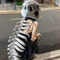 Dinosaur head + skeleton 75cm/0.6kg children's model