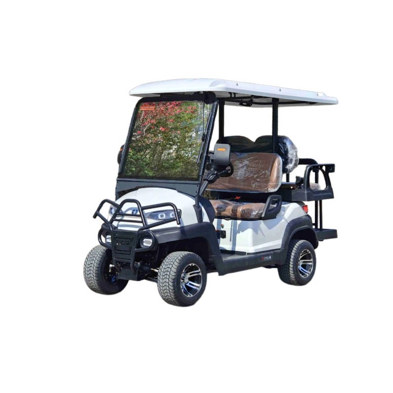 中菲宜达 电动高尔夫球车 2+2座 楼盘接待 景区观光 专用车辆