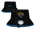 Jaguars 1 Jaguars