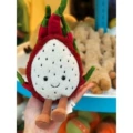 Dragon fruit