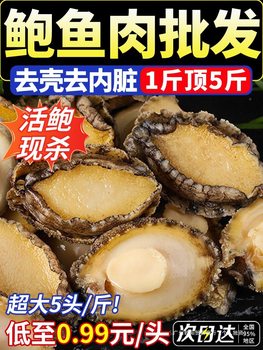 Fresh Frozen Abalone Meat, Extra Large Fresh Live Abalone, Quick-Frozen Small Abalone Meat, Hot Pot Ingredients, Seafood Commercial