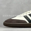 samba—2658