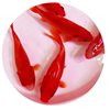 Red Grass Goldfish Is Easy to Raise and Long-Tailed Red Grass Ornamental Fish Koi Live Cold Water Fish Koi Red Grass Freshwater Fish