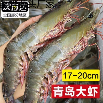 Fresh and Large-Sized Qingdao Prawns, Extra-Large Frozen Fresh Salted Quick-Frozen Sea Shrimp Seafood Products