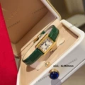 Gold circle green belt