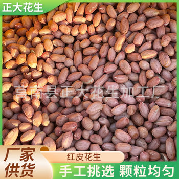 Manufacturer Wholesale Red-Skinned Peanuts, Exported Shelled Peanuts, Northeast Large Peanuts, Red-Skinned Peanuts, Luhua Peanuts