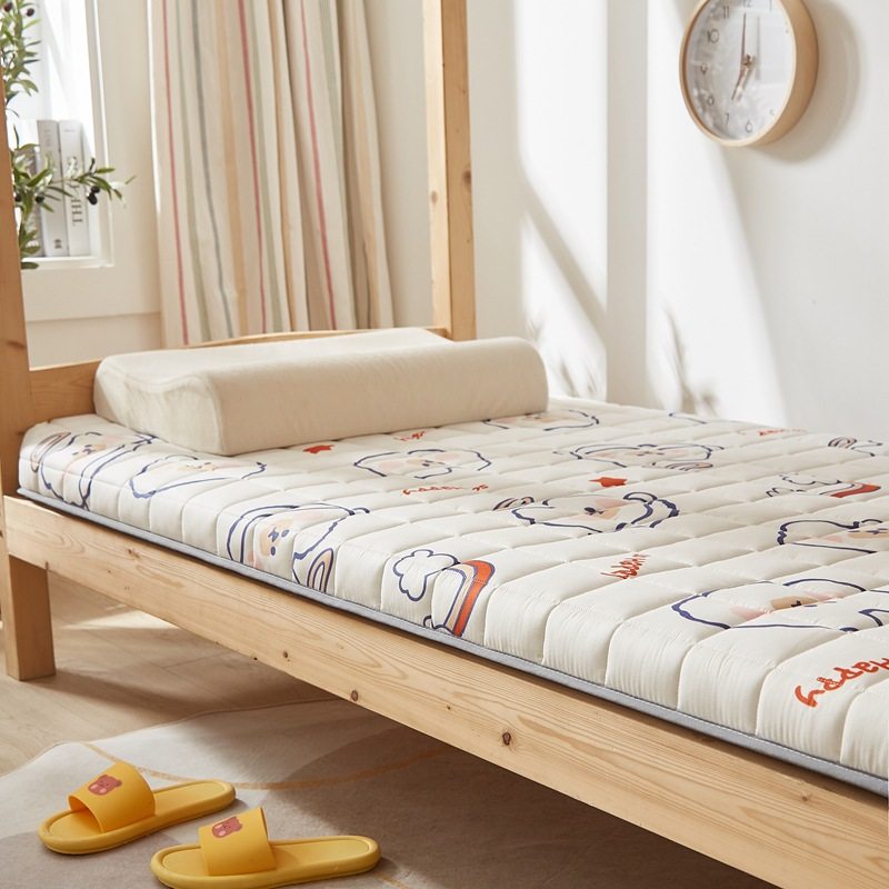 Student dormitory single mattress school season tatami rental cartoon mat Four Seasons dormitory mat factory wholesale