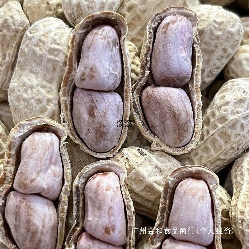 Fujian Longyan Peanut Shelled Garlic Salty Dried Five-spiced Original Salt Water White Boil Peanut Cooked Fried Snacks