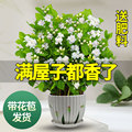 seller product image