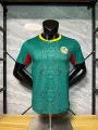 25-26 senegal away game