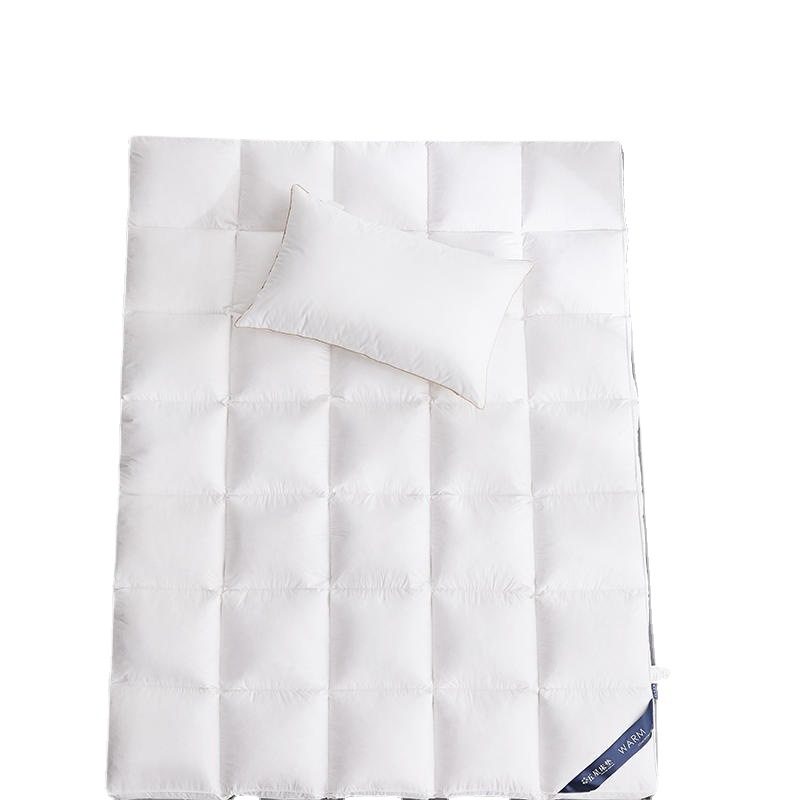 New Hotel Star Soft Mattress Feather Velvet Tatami Mat Rent House Homestay Thick Mattress Double Room Student Mat