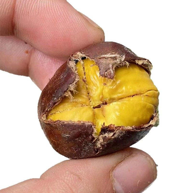 [Jd Express]Qianxi Chestnuts Raw Chestnuts Seasonal Fresh Chestnuts Soft, Glutinous, and Sweet Whole Box 2 Pounds 2kg Color Box