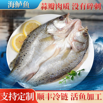 Sea Bass Wholesale Fresh Open-Back Bass Frozen Fresh Deep-Sea Bass Seven-Star Bass Sea Bass Commercial Wholesale