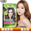 Kevis Plant Aromatic Hair Dye Paste 120mlX2 Cover White Hair Dye to Protect Soft Gloss and Gentle Colorful Divan