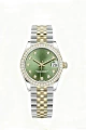 [diamond] gold green women’s mechanical 31mm