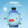 Methylene blue fish white spot disease koi water mildew blood fish medicine fish tank disinfection Aquarium Conservation prevention solution
