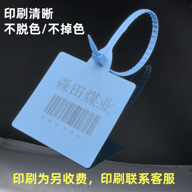 Signage Tie Disposable Express Logistics Hanging Sign Cross-Border Sticker Signage Anti-Adjustment Bag Tag Lock Anti-Counterfeiting