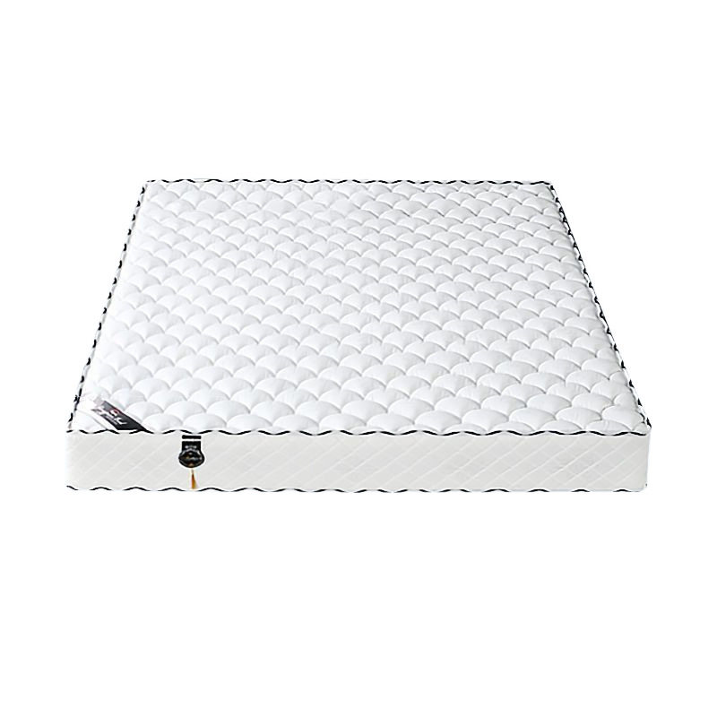 Simmons Spring Mattress 20cm Thick Household Latex Coconut Rental Room 1.8 m 1.5 Double Soft and Hard Mattress