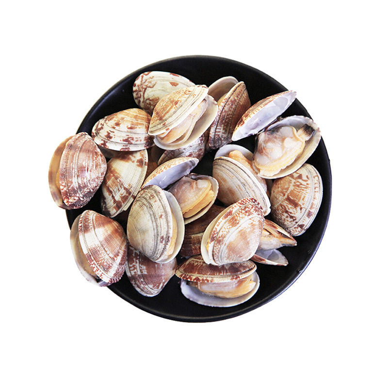 Seafood and Shellfish Frozen Vacuum Sixty-Year-Old Sand-Free Clams Vacuum Clam Barbecue Ingredients Variegated Clam Sixty-Year-Old Powder Commercial