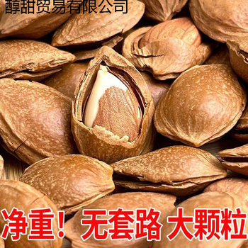 New Arrival Apricot Kernels Net Weight 500g Bagged Casual Dried Fruit Snacks Office Dormitory Snacks Shelled Almonds Original Factory