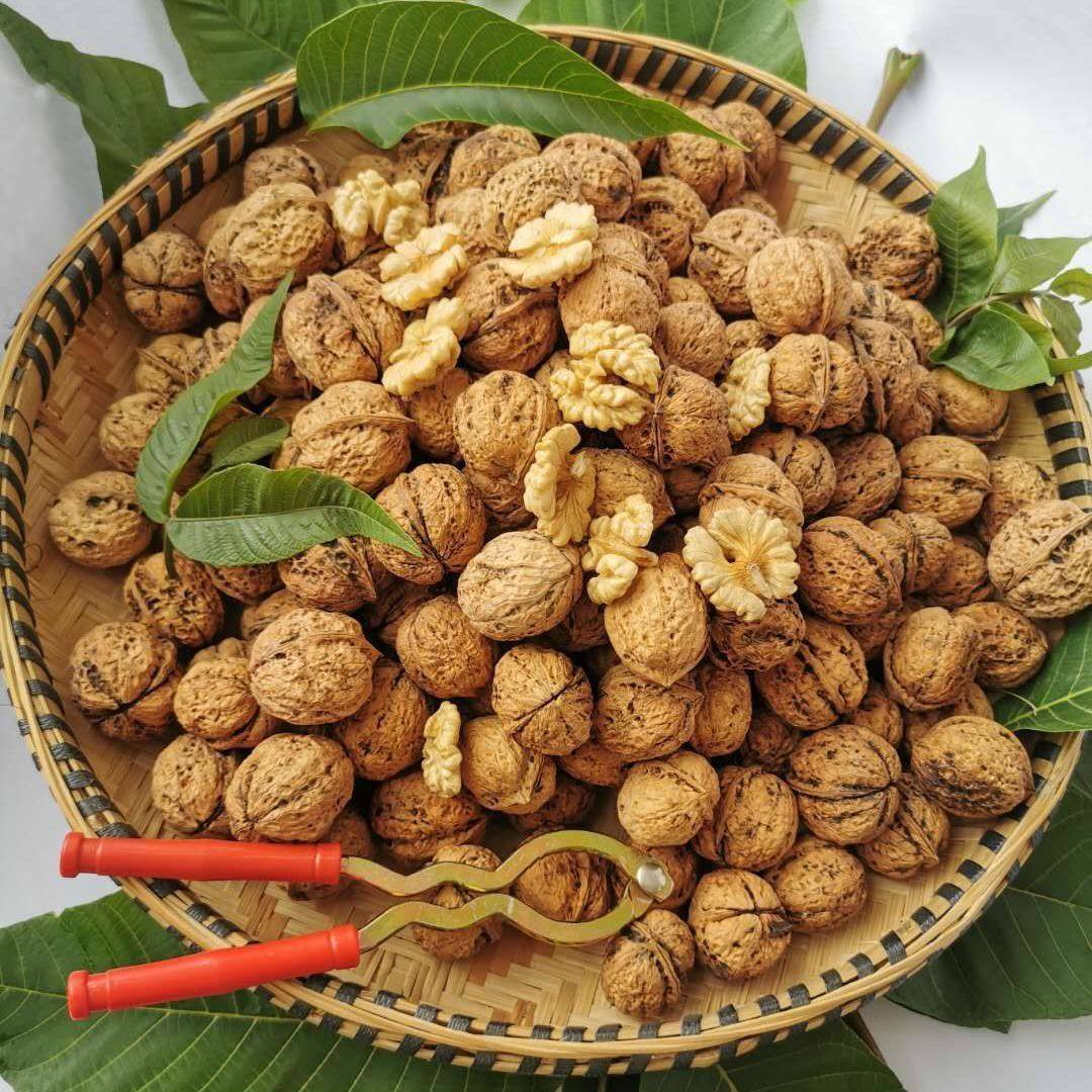 Household Thickened Walnut Tongs Zinc Alloy Dried Fruit Tongs Pine Nut Tongs Hazelnut Nut Pecan Solid Pliers Tongs