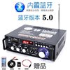 Mini small power amplifier speaker power amplifier card U disk radio DC 12V 220V Bluetooth power amplifier