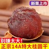 [2025 New Hot Aa] Fujian Specialty Dried Longan Bag Packed with Thick Flesh and Small Kernels Ready-To-Eat Longan