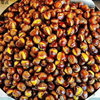 Guizhou Alpine Chestnut Fragrant Soft Powdered Noodles Fresh Chestnut Beige Flesh Oil Chestnut Sugar Fried Chestnut Raw Materials Whole Box Wholesale