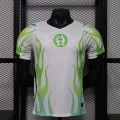 2026 nigeria away game