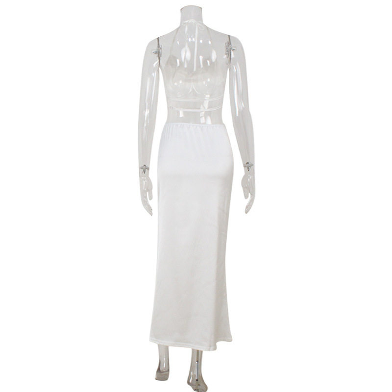 Backless Halter Top and Low Waist Maxi Skirt Set Sexy Satin Fabric Chic Style Perfect for Parties Wholesale Available