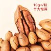 Pecan Nuts Bulk Pack 2025 New Healthy Nuts Creamy Longevity Fruit Office Surplus