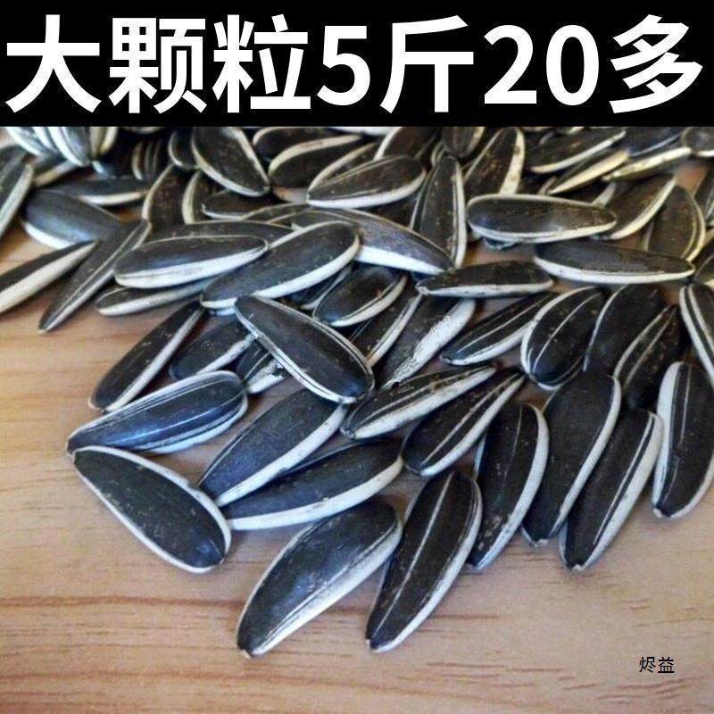 Fresh Sunflower Seeds, New Crop, Fresh Sunflower Seeds, Fragrant Melon Seeds, Original Flavor, Bulk 2.5kg Large Sunflower Seeds, Roasted Seeds