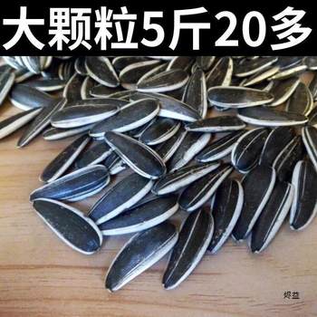 Fresh Sunflower Seeds, New Crop, Fresh Sunflower Seeds, Fragrant Melon Seeds, Original Flavor, Bulk 2.5kg Large Sunflower Seeds, Roasted Seeds