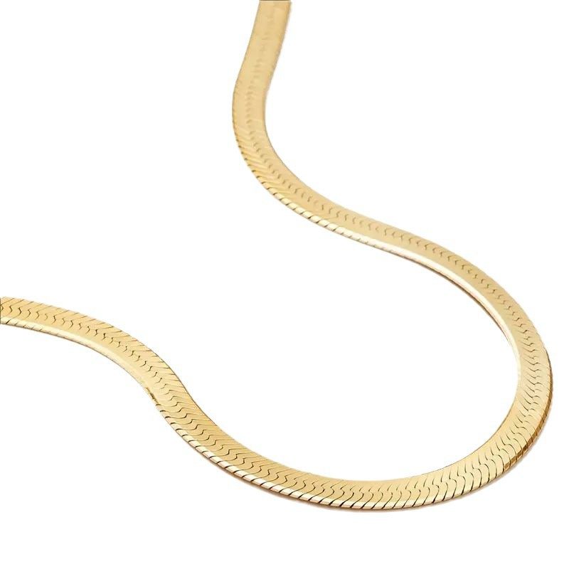 European and American Style Simple Style Flat Snake Bone Chain Necklace Clavicle Chain Vintage Ins Style Neck Chain Collar Women's Jewelry