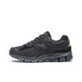 NB2002-1