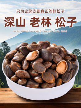 Fresh Raw Pine Nuts Large Particles Original Wild Collection 2024 New Arrival Yunnan Pine Nuts Snacks for Pregnant Women Nuts Specialty