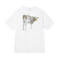White【Cow】